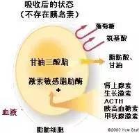 辟谷导致死亡,辟谷致死案例