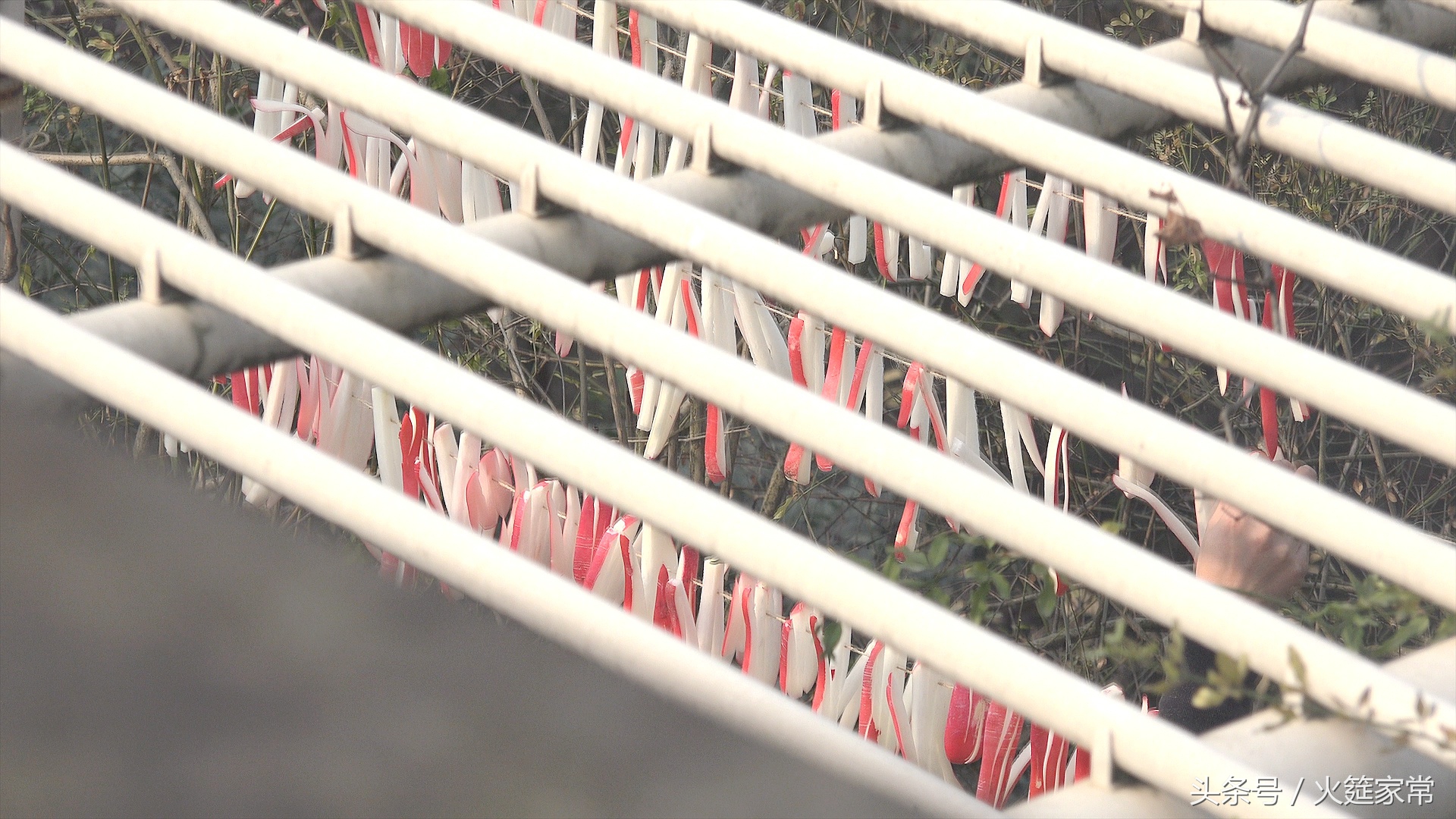 小菜一碟麻辣萝卜干,一斤五香萝卜干咸菜的做法