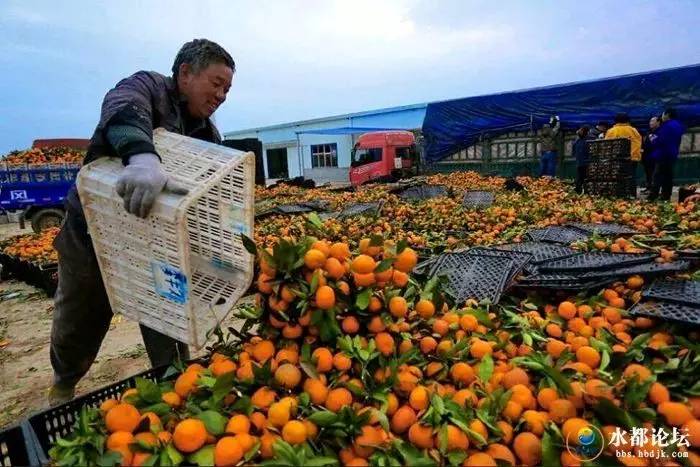 水都网友看农业感受水都新变化