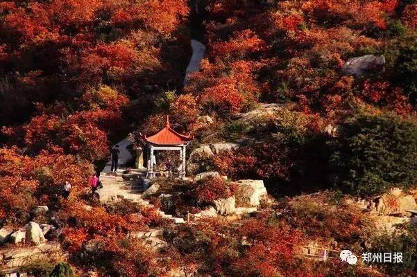 郑州旅游年卡2023怎么办理,郑州旅游年卡在哪里办