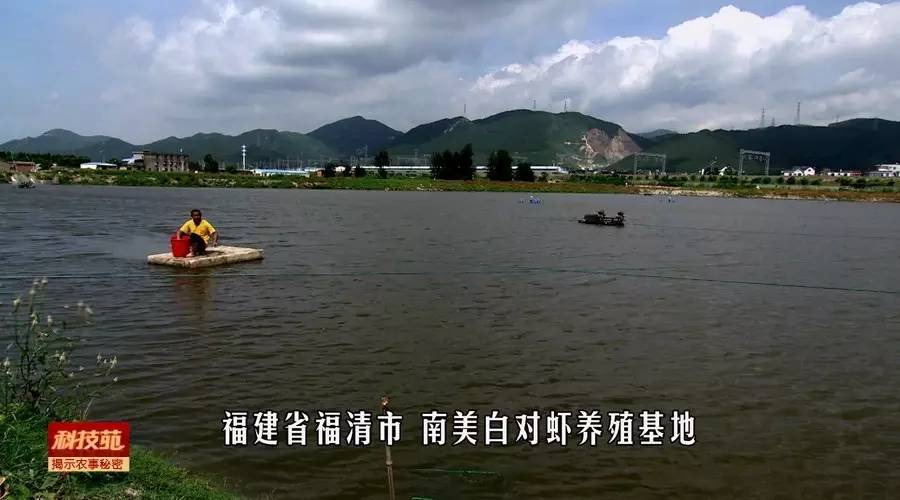 水产养殖对孔雀石绿禁用吗,孔雀石绿水产养殖