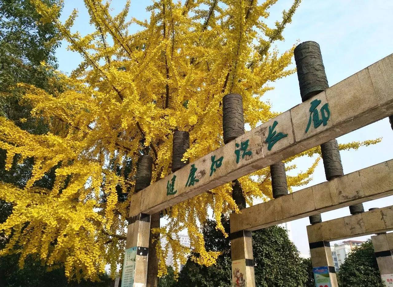 青白江，一个幸福感爆棚的城市，因为我们这样生活……