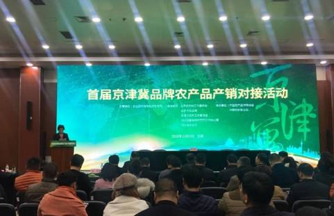 农业展览馆现在有什么展销会,全国农业展览馆夜晚