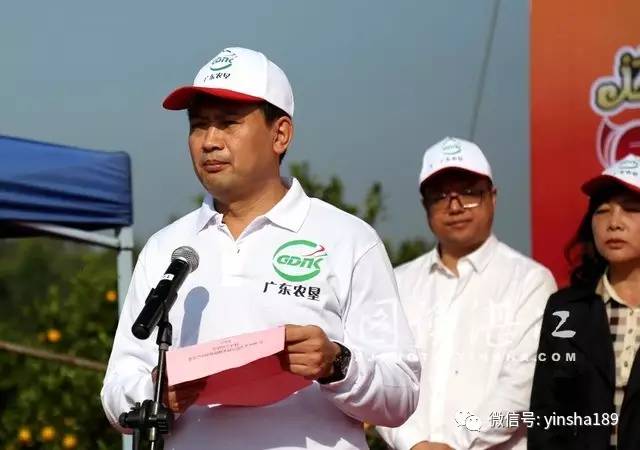 红江橙鲜果价格,红江橙2020价格