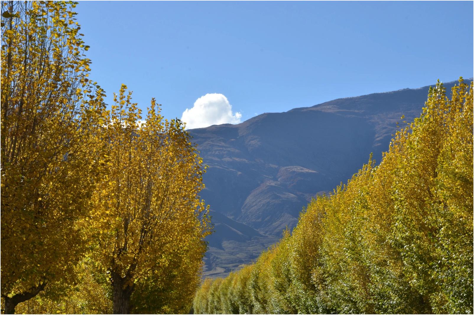 穿越色季拉山口吃到酸臭的牦牛奶渣（二）