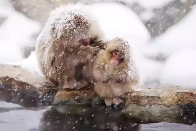 第一次到日本走什么通道,去北海道怎么走最合适