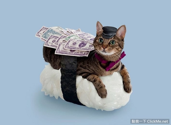 猫咪寿司店治愈短片,超可爱寿司猫咪