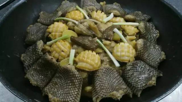 闇插彴澶氳倝鑺卞洯椁愬巺,澶氳倝妞嶇墿椁愬惂