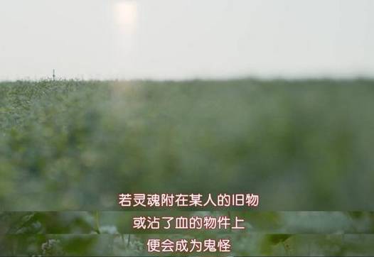 舒淇的韩剧,舒淇电视剧韩国