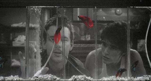 你骑车的样子真美,你骑车时的样子