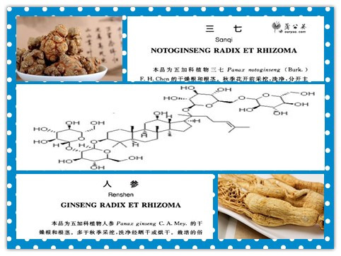 三七与人参哪个最好,三七和人参能共用吗