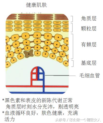 教你快速改善皮肤暗黄!