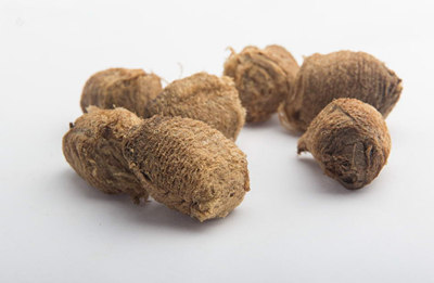 桑树全身上下可入药,桑树哪些部位可以入药及功效