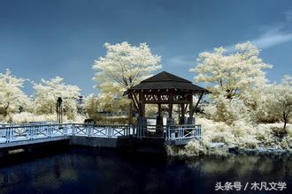 冲冠一怒为红颜陈圆圆的典故,冲冠一怒为红颜陈圆圆的悲惨一生