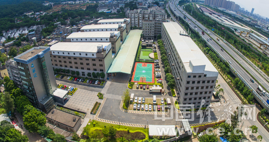 十年老员工感慨,茶花家居怎么样