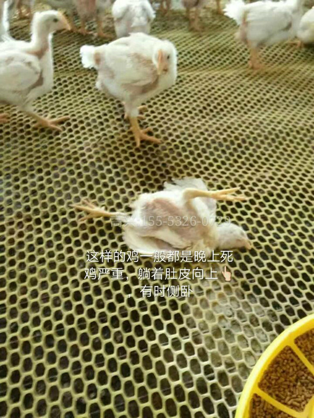 支气管堵塞怎么治疗最好,支气管堵塞最好的解决方法