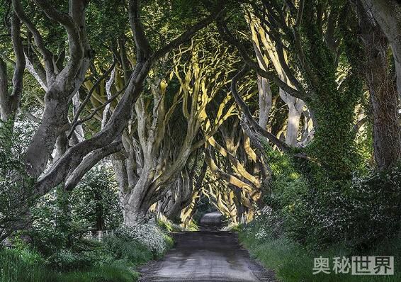 世界上最美的地方,世界上最美的地方是什么样的