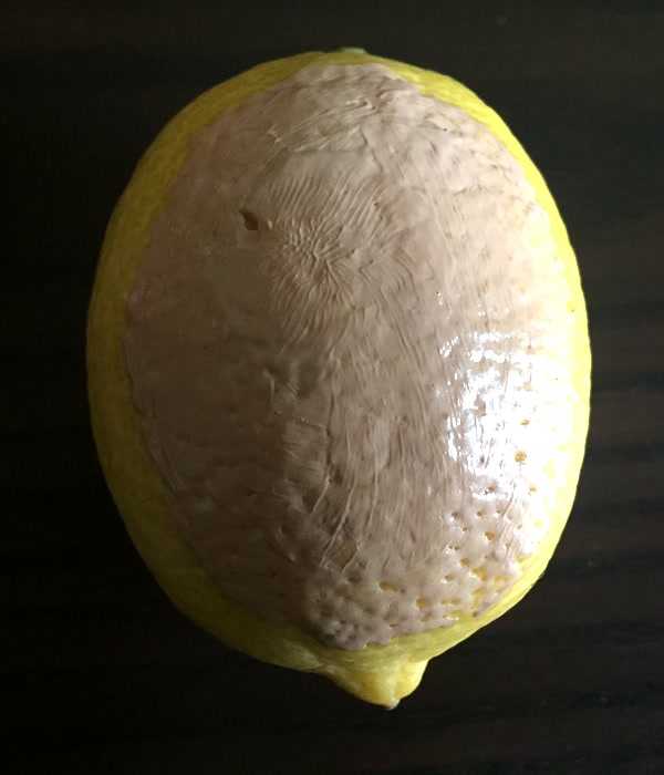 哪些粉底液可以打造出少女奶油肌,水润显气色的粉底液哪款好用