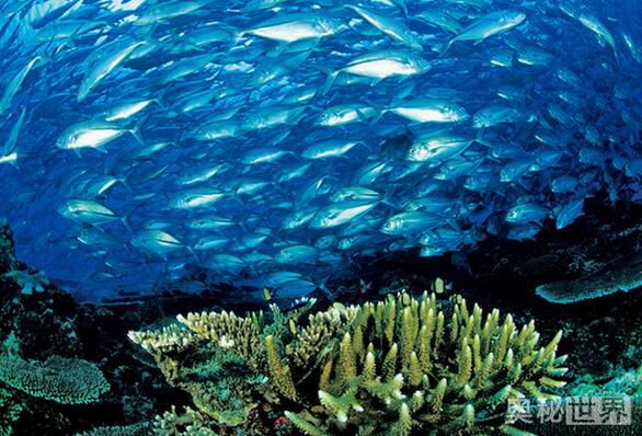 世界上最美的地方,世界上最美的地方是什么样的