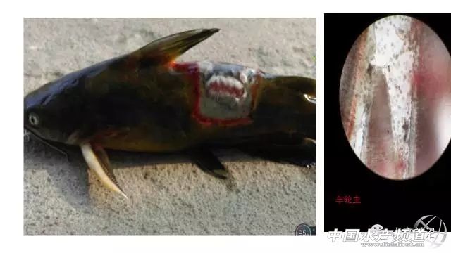 做到这十点顺风顺水,做到这十点你绝对不会吃亏