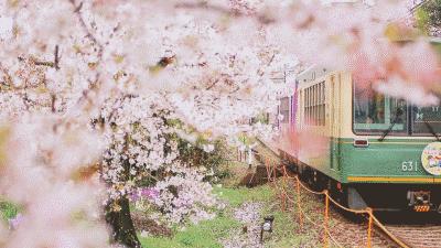 惊艳！绿皮火车开进温泉城，将VIP泡汤进行到底！「浙里温暖NO.11」