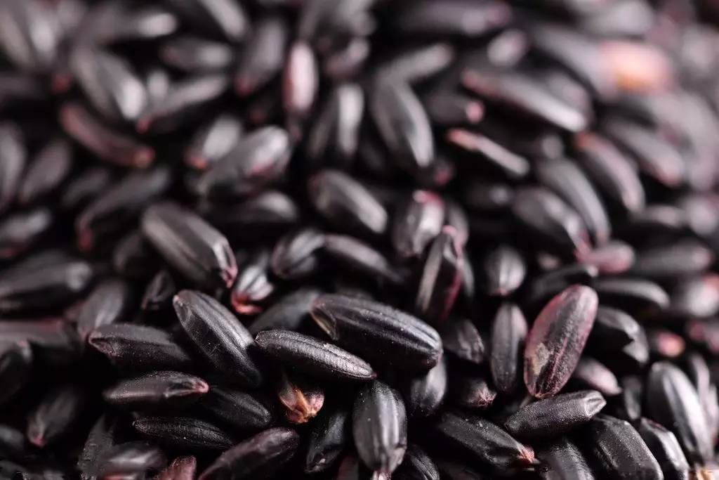 孩子太早站会o型腿吗,宝宝走路太早会对腿有影响吗