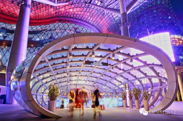 这几个国家太诱惑，直飞、免签、路边就能吃到米其林、国家公园免费一整年，是时候策划一场明年的旅行了！