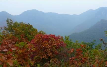 本色岐山，一座不来会遗憾终身的城！