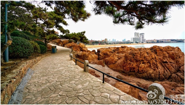 青岛的冬天来临之前,青岛的冬天多么美