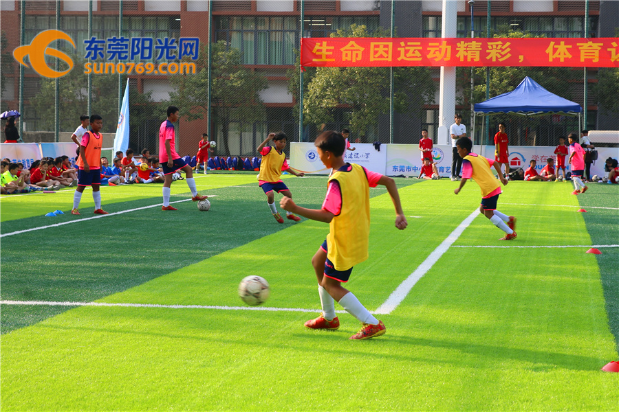 不说不知道！东莞校园足球原来那么牛！连专家都说整体水平可进省前五！