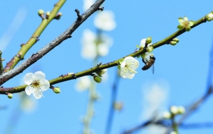 六号线免费景区有哪些路线,六号线能去的免费景点