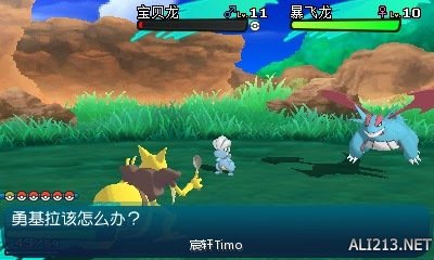 口袋妖怪日月需要什么配置,口袋妖怪日月阵容搭配