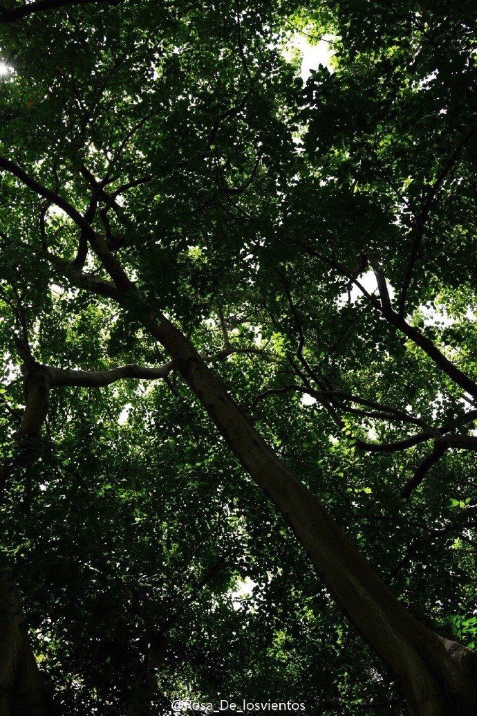 边吃边走的美食推荐,香港5日美食之旅搜罗各种美食