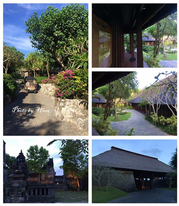 hina和hiro谈了多久,hina和hime住在一起吗