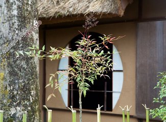 逛不尽的东瀛－二刷日本十五天