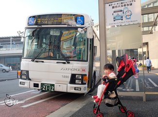 带着24个月小囡十一寸又峡寻密+东京+镰仓伊豆+横渡骏河湾观富士山+附详细交通攻略