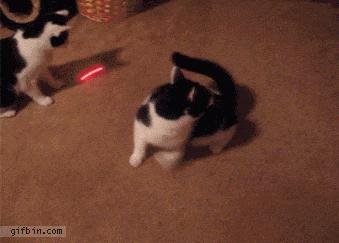 去痣的最佳方法不留疤医院,在家就能祛痣不疼不留疤的方法