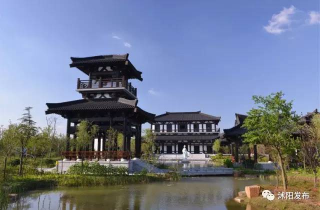 世界那么大，你为什么选择沭阳？