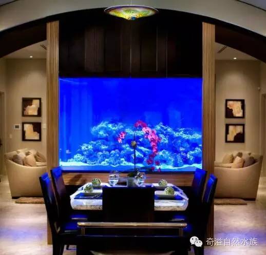 鱼缸摆放位置与属相,鱼缸的摆放位置以及风水影响
