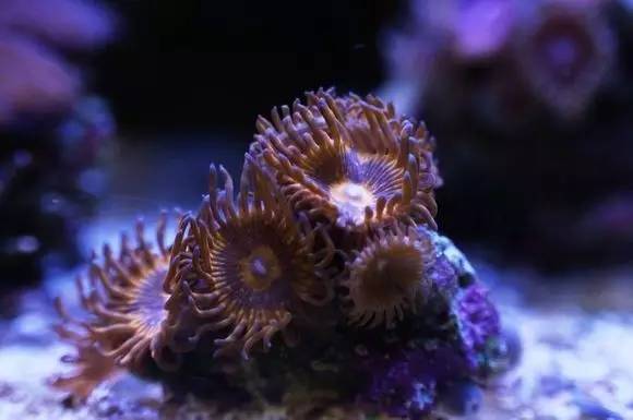 玩的真溜,三千玩出了三万的水平!