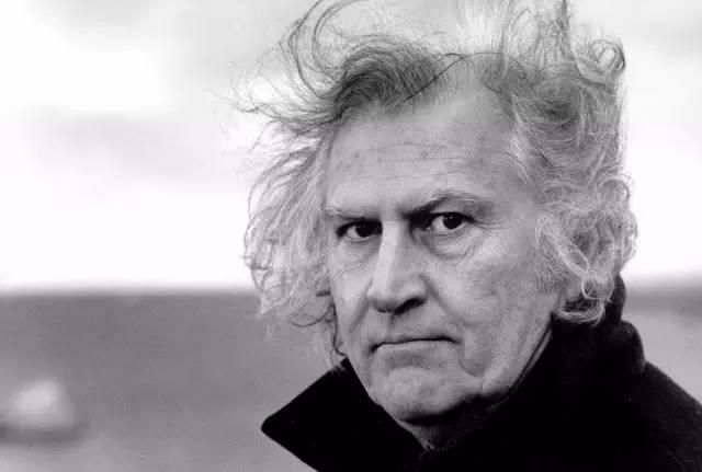 历史上有哪些导演是水瓶座的,水瓶座有名的导演和编剧