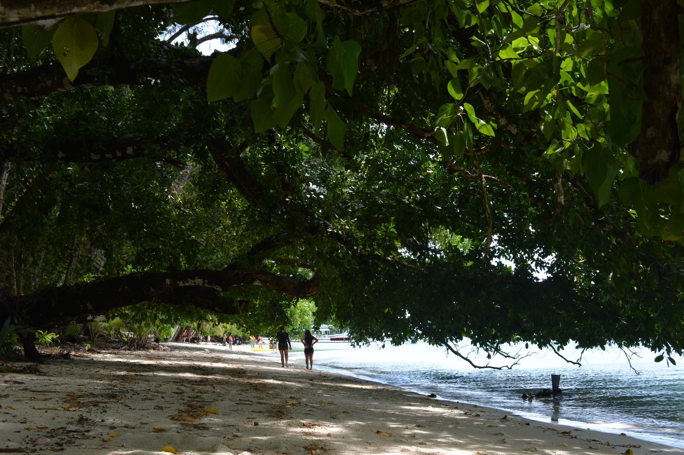 帕劳旅行攻略大全图文,帕劳旅行攻略图文大全