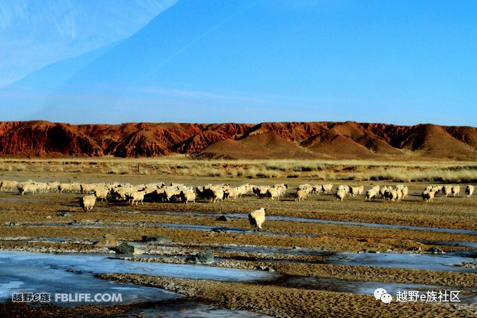 越野e族内蒙古大队,越野e族格尔木分队年会