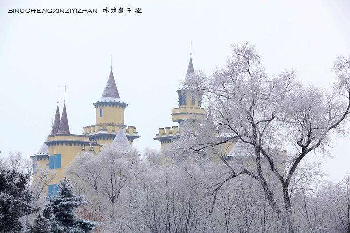 哈尔滨太阳岛的冬天照片,哈尔滨太阳岛的冬天有多美