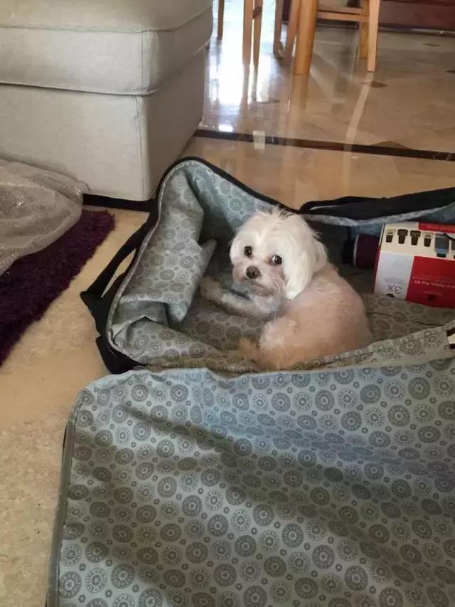 大陆创业的台湾女人盛洁俪：正视不良资产，净化清收行业