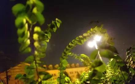 郑州速度！2条新地铁线下月开通，吃喝玩乐去哪儿都不愁