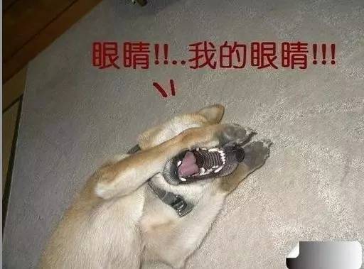 涓竴鍏夊20mmf2.0寰窛闀滃ご娴嬭瘎,鍏ラ瓟鐩告満鎺ㄨ崘