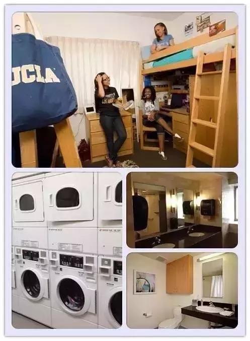 ucla11万人申请,ucla申请成功案例