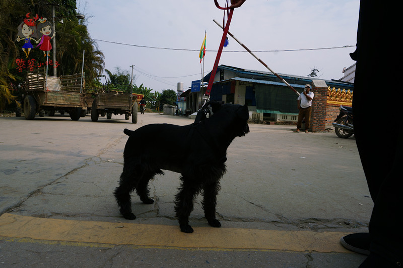 中缅边境瑞丽行,云南到中缅边境自驾游