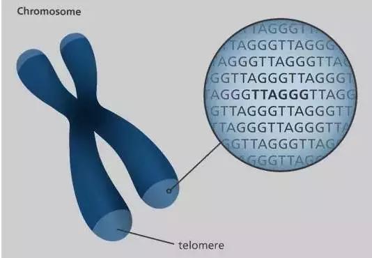继杀精之后,可乐又多一个“损伤基因”的罪名